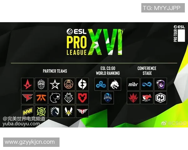 BLG战队在CSGO赛场的崛起与力量变革探讨