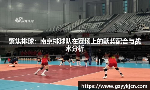 聚焦排球：南京排球队在赛场上的默契配合与战术分析