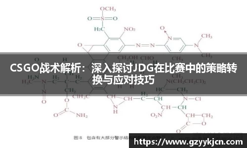CSGO战术解析：深入探讨JDG在比赛中的策略转换与应对技巧