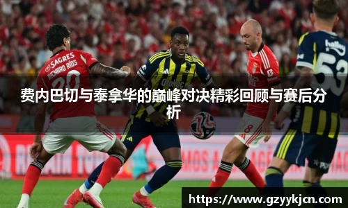 费内巴切与泰拿华的巅峰对决精彩回顾与赛后分析